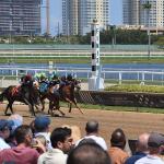ABR Sunday Selections: Full-Card Picks for Easter Sunday from Gulfstream Park
